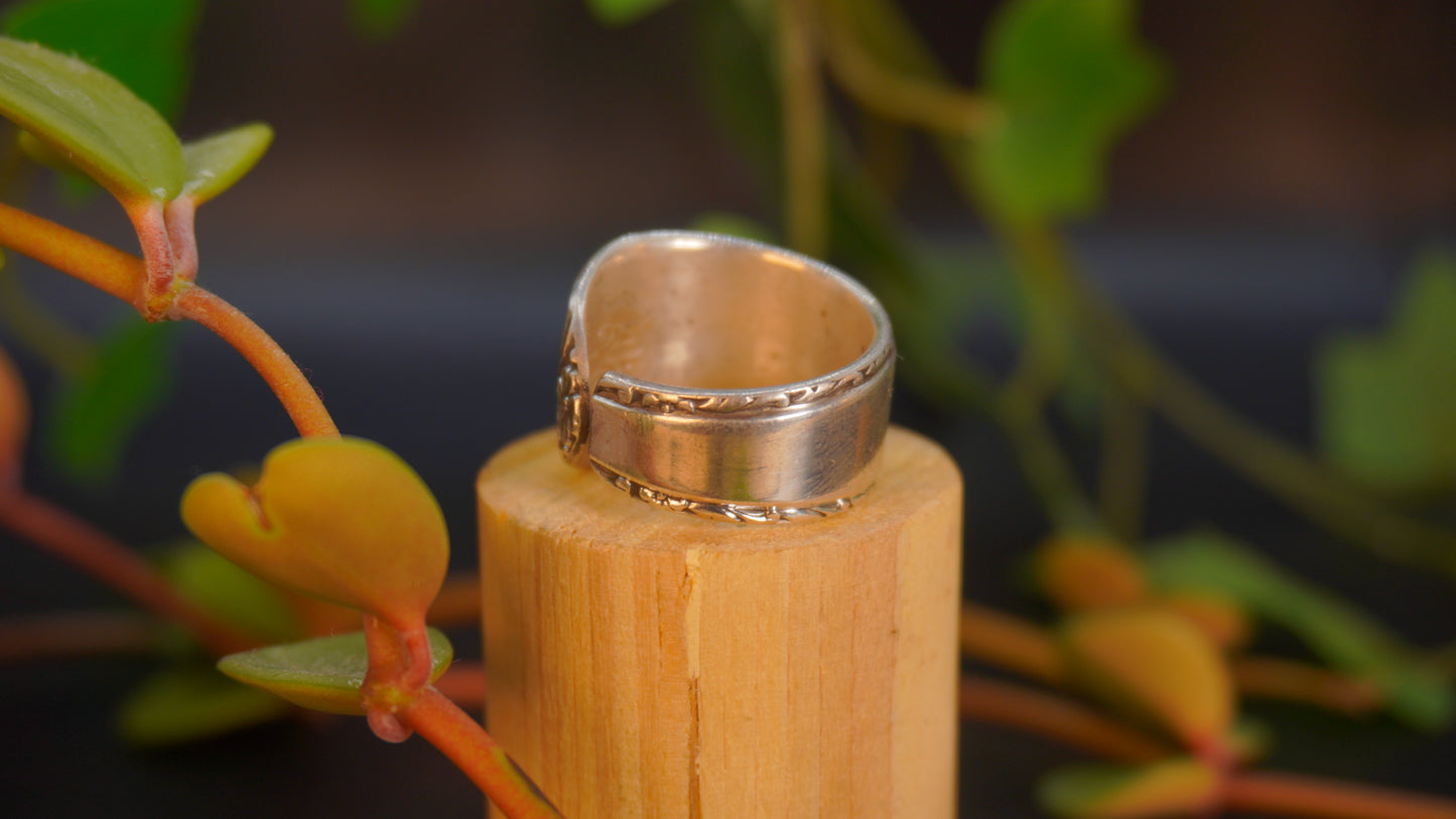 Bague recyclée #19 (tailles multiples)