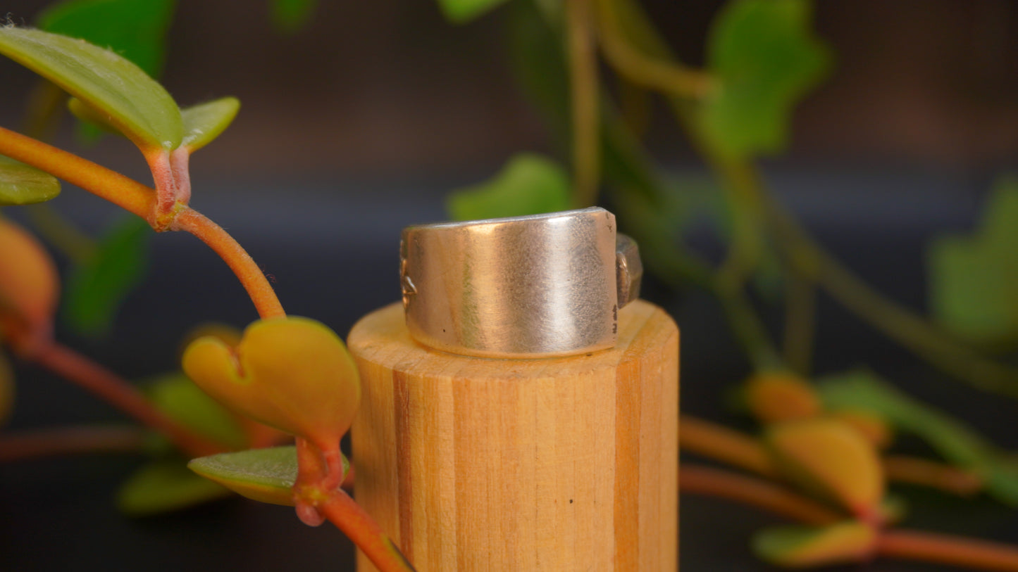 Bague recyclée #36 (tailles multiples)