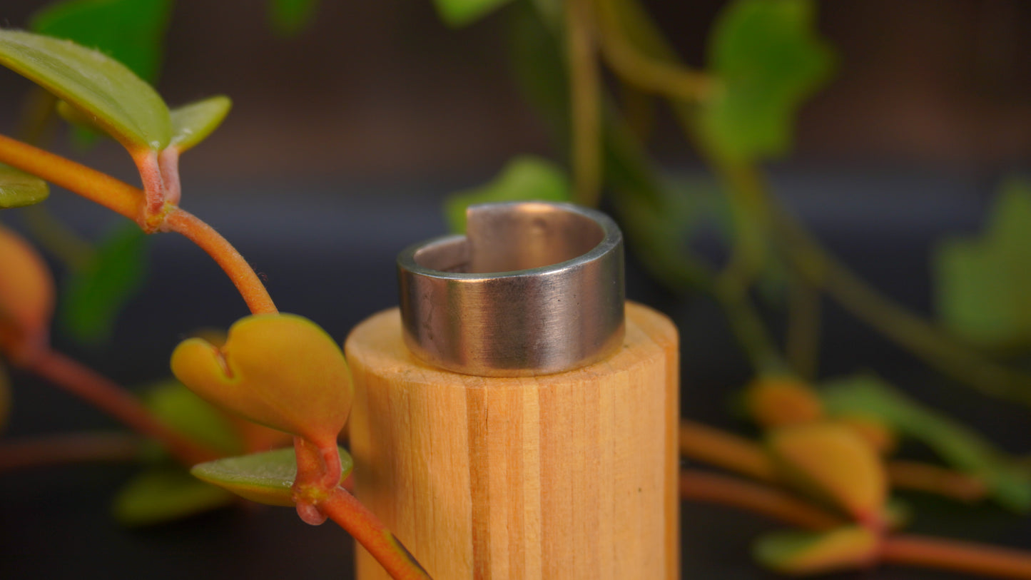 Bague recyclée #39 (tailles multiples)