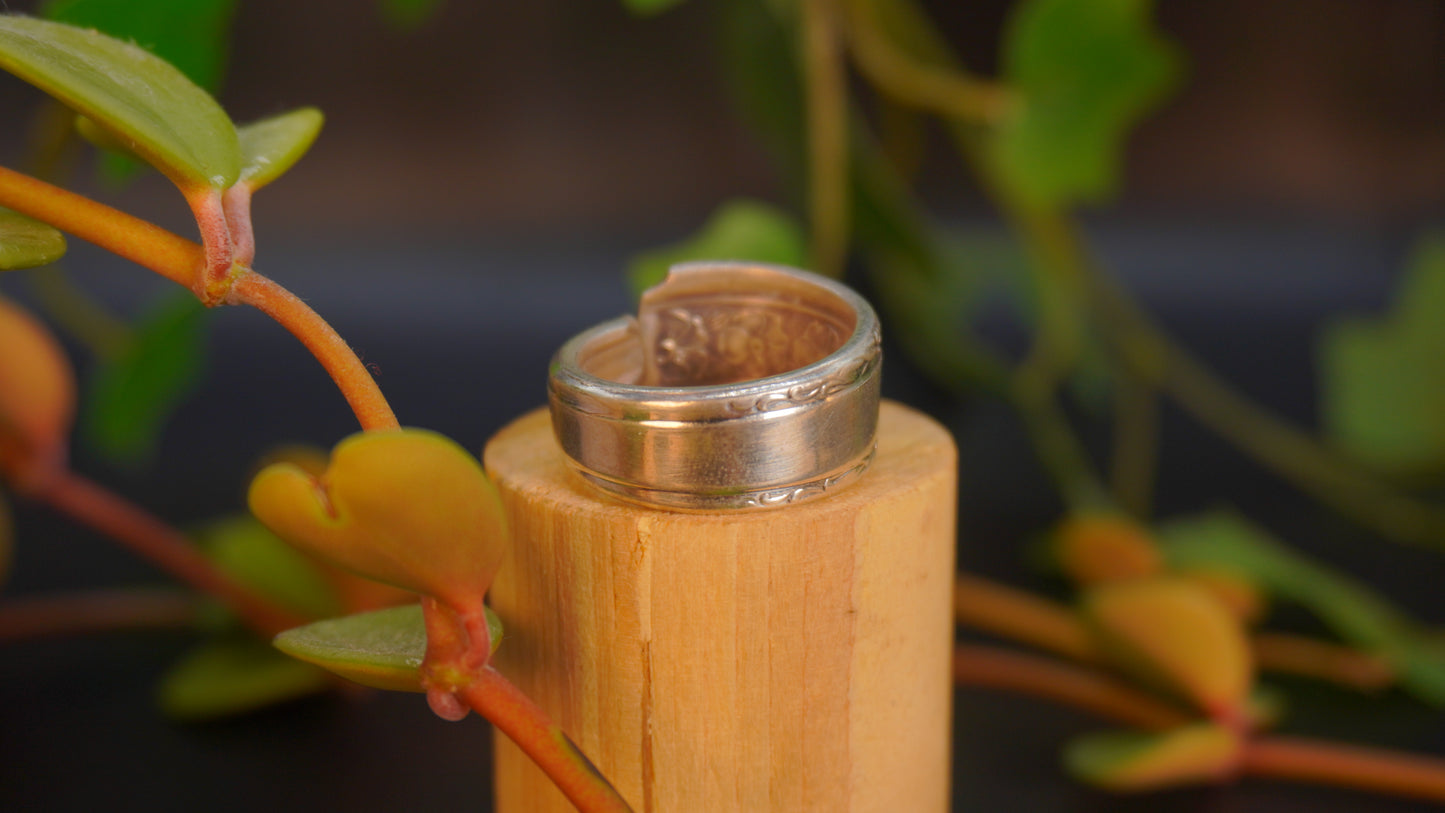 Bague recyclée #40 (tailles multiples)