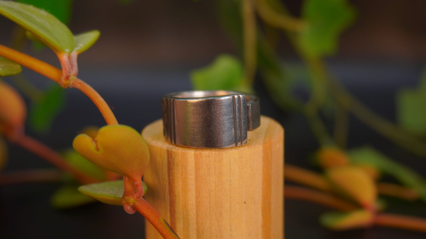 Bague recyclée #42 (tailles multiples)