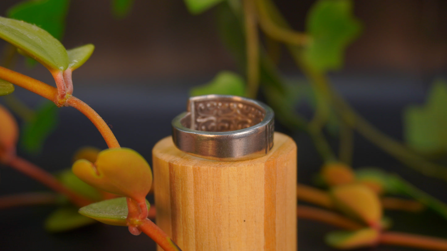 Bague recyclée #49 (tailles multiples)