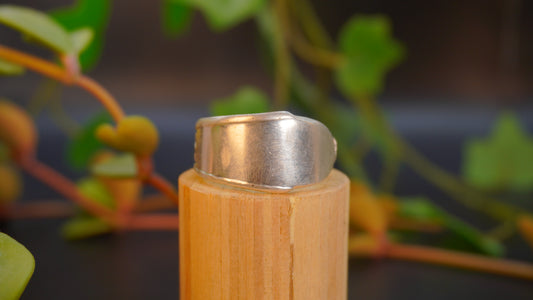 Bague de grande taille #21 (taille: 14)