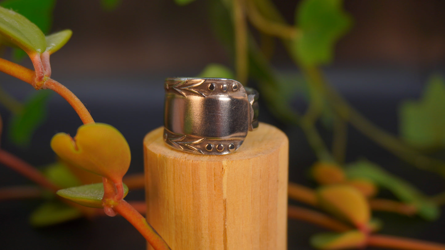 Bague recyclée #6 (tailles multiples)