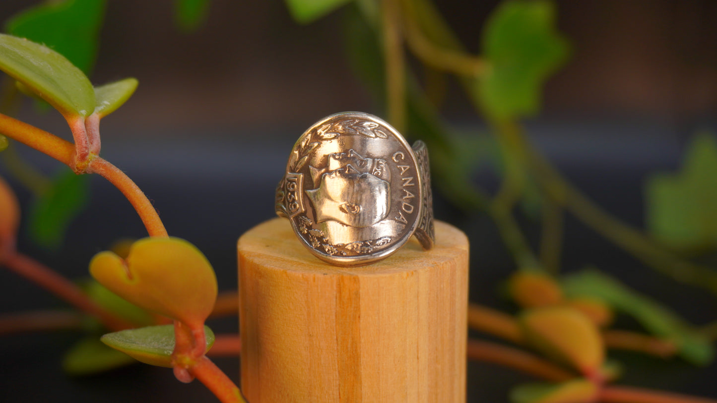 Bague recyclée #17 (taille: 7.5)