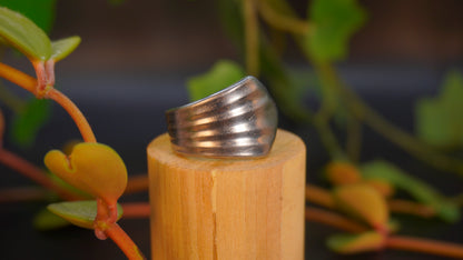 Bague recyclée #18 (taille: 9)