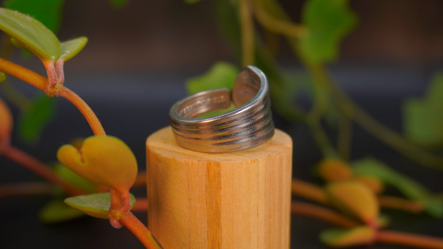 Bague recyclée #18 (taille: 9)