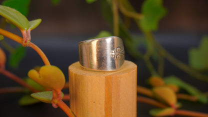 Bague recyclée #19 (tailles multiples)