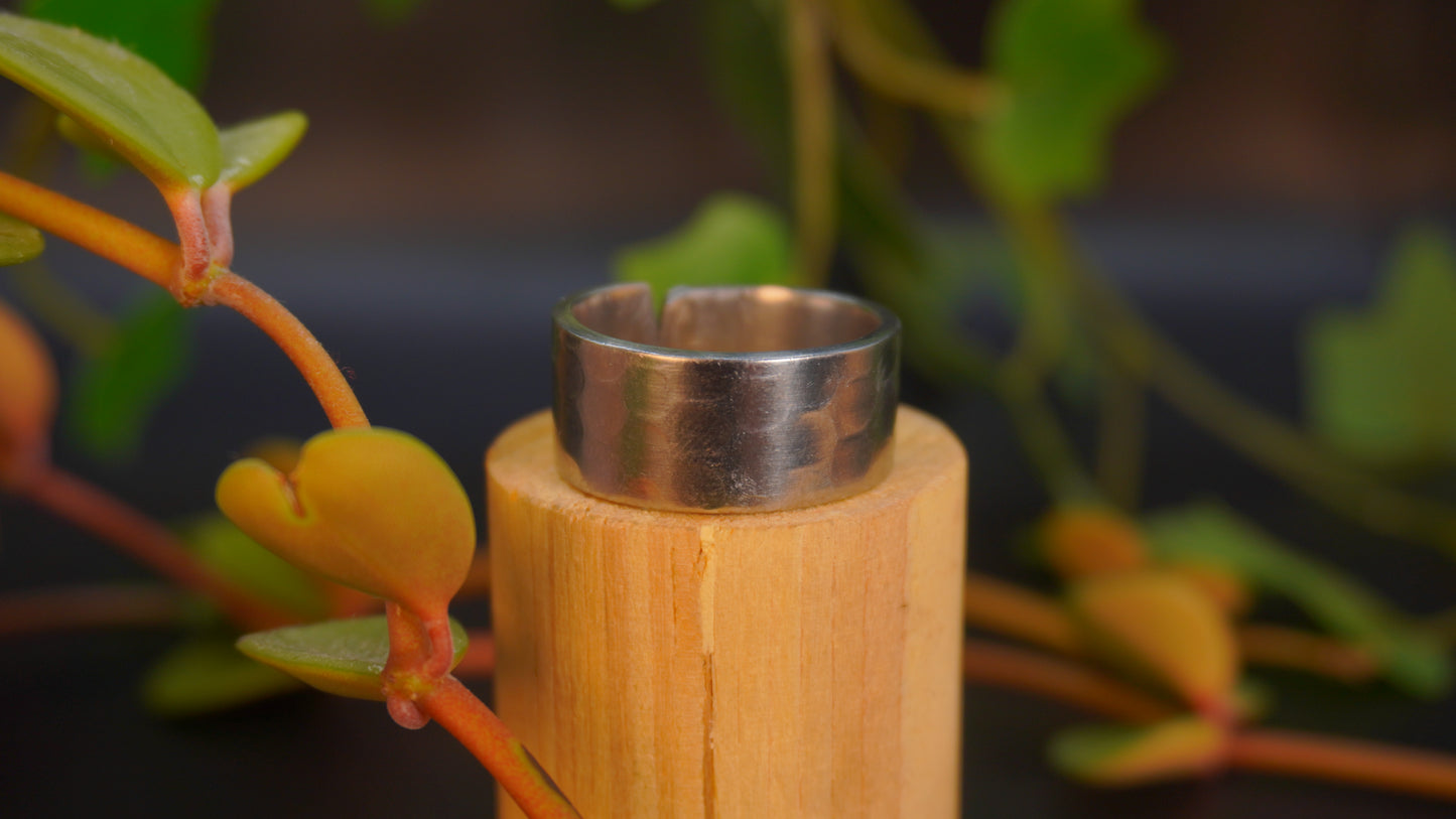 Bague recyclée #38 (tailles multiples)