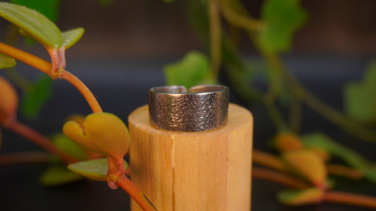 Bague recyclée #41 (tailles multiples)