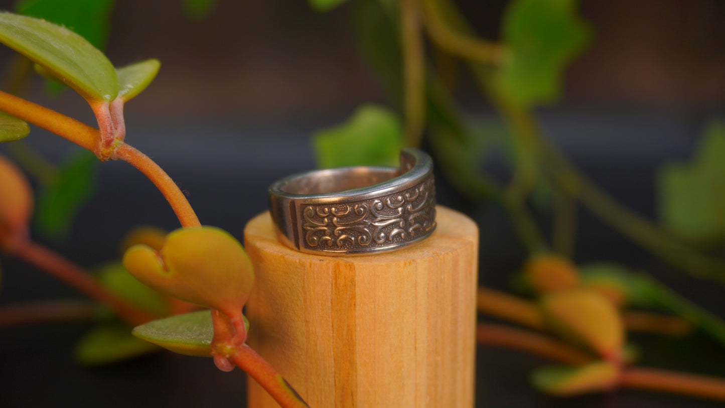 Bague recyclée #49 (tailles multiples)