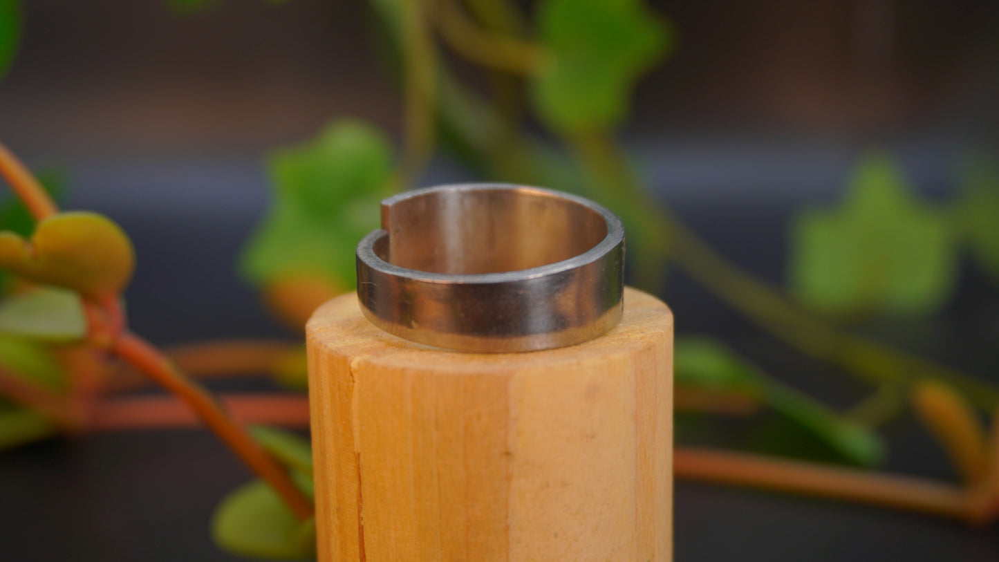 Bague de grande taille #2 (taille: 12)