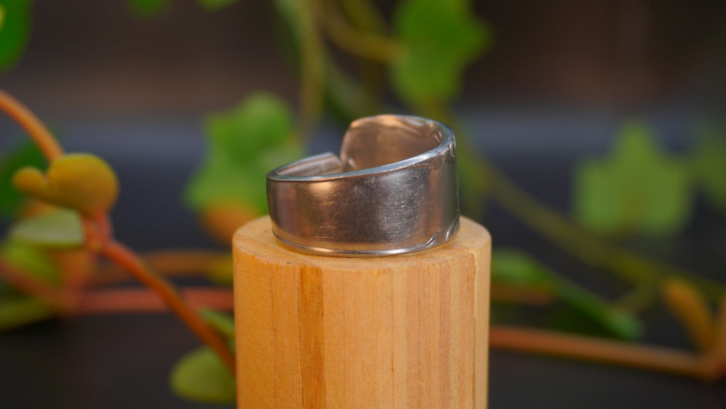 Bague de grande taille #5 (taille: 11)
