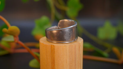 Bague de grande taille #5 (taille: 11)