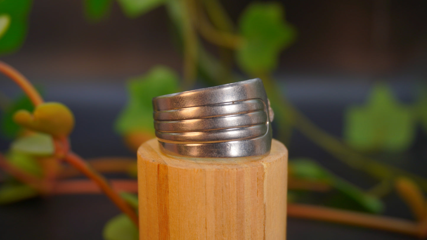 Bague de grande taille #9 (taille: 14)