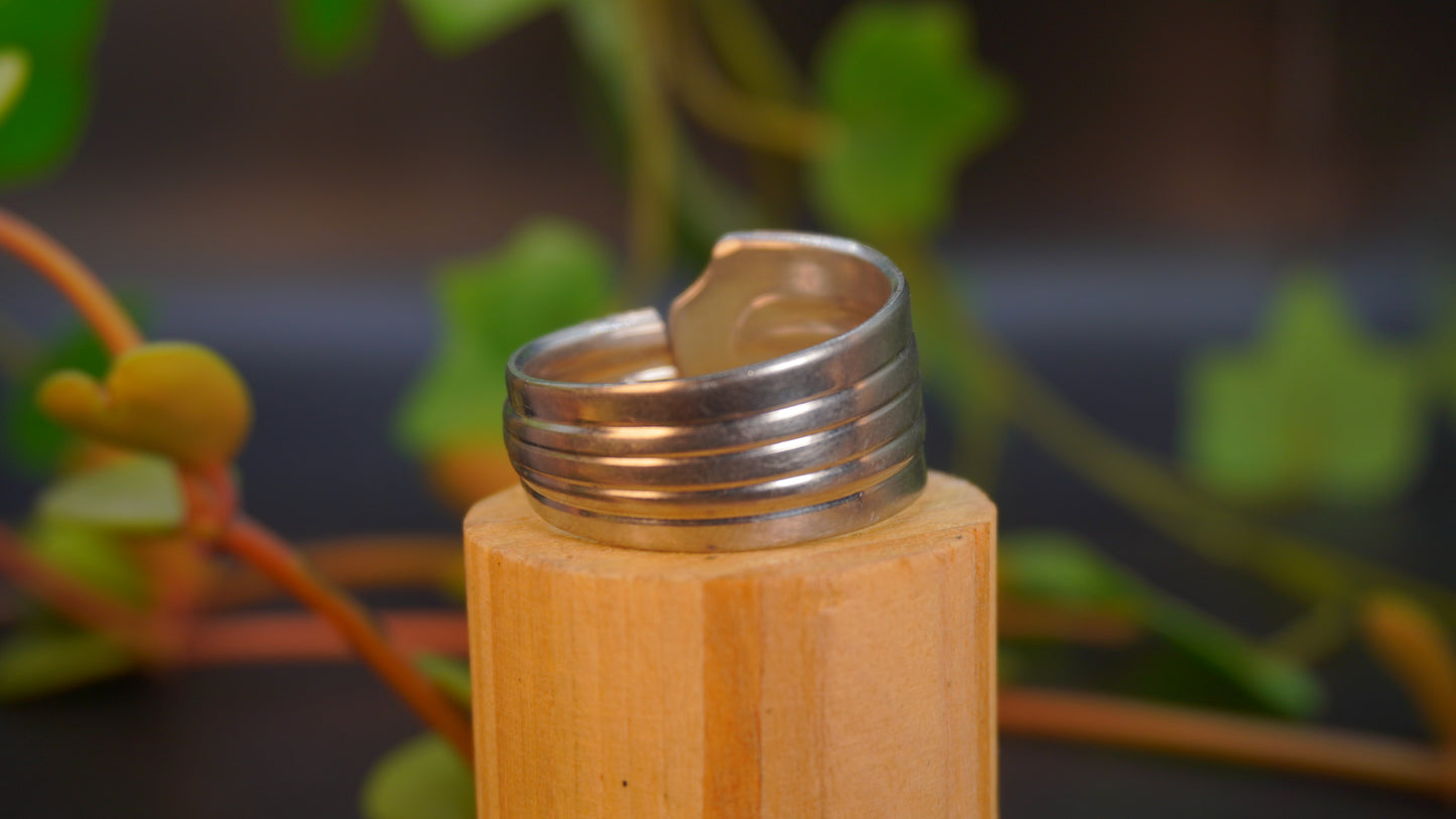 Bague de grande taille #9 (taille: 14)