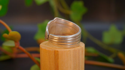 Bague de grande taille #10 (taille: 12)