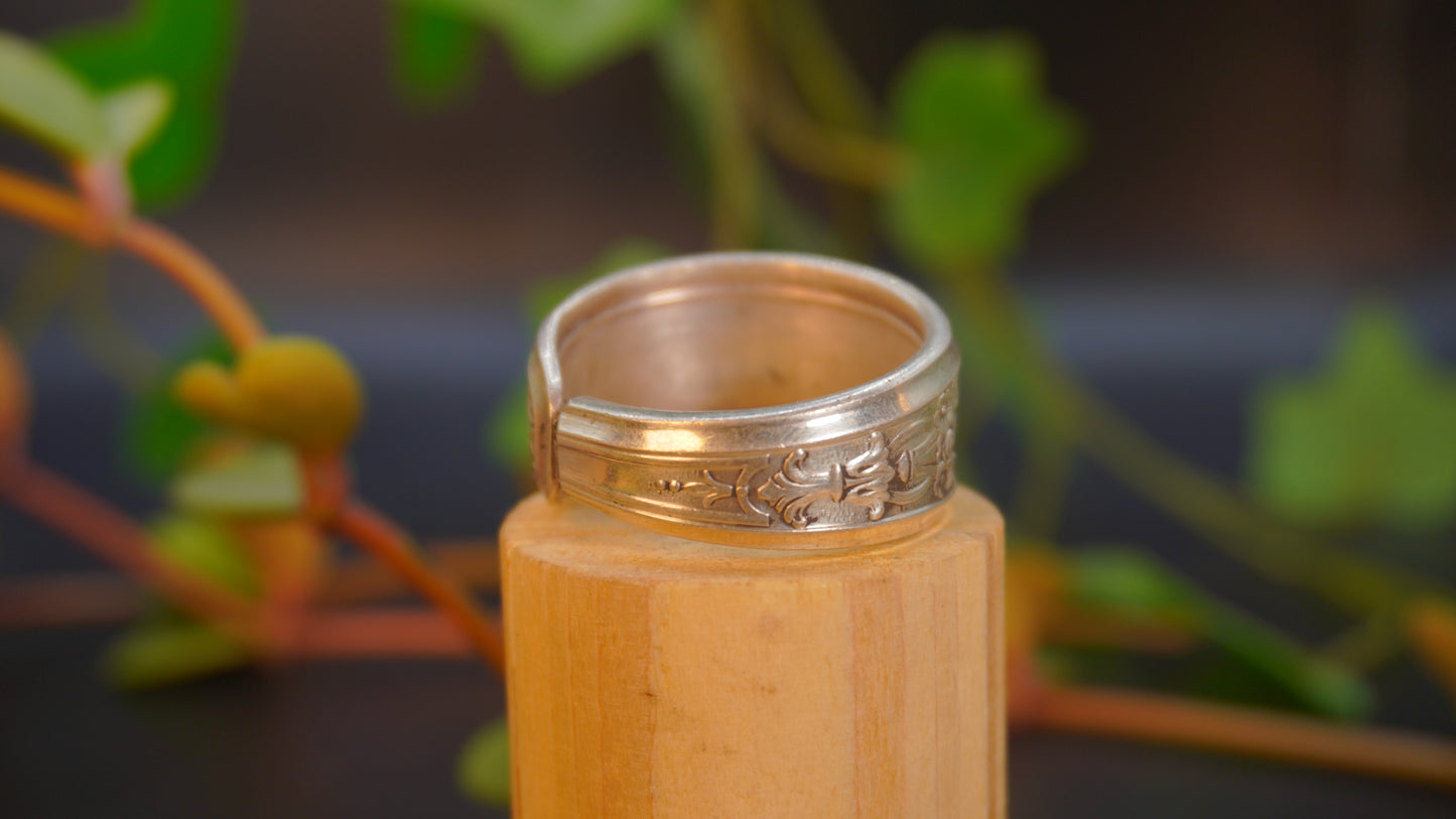 Bague de grande taille #18 (taille: 14)