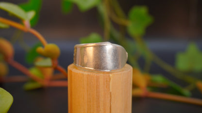 Bague de grande taille #21 (taille: 14)