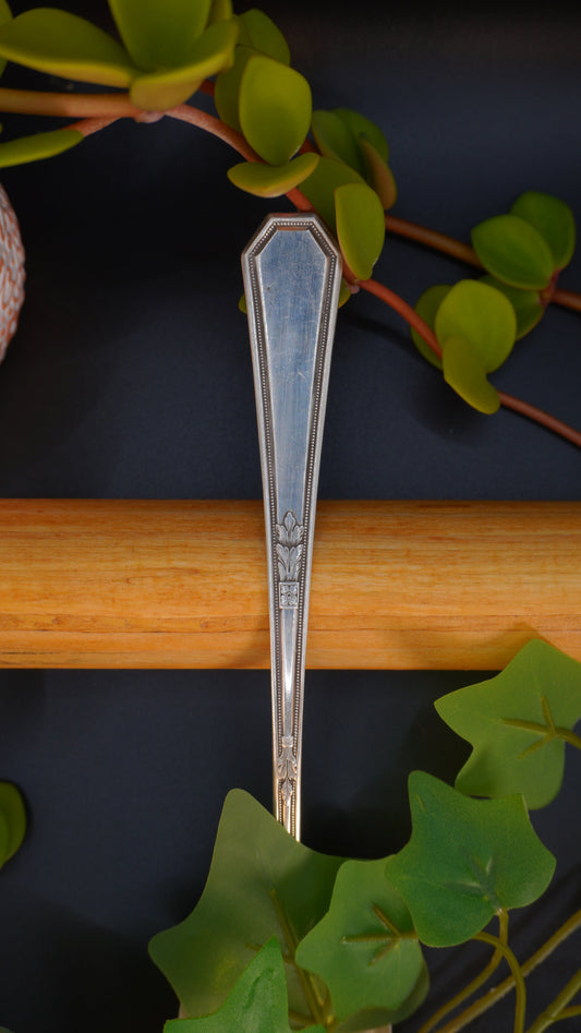 Cuillère vintage #11